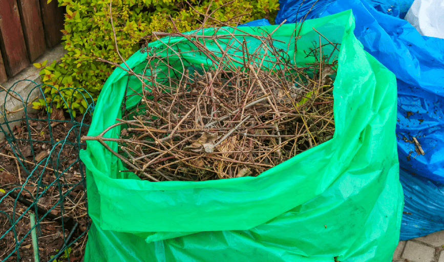 Yard Cleanup
