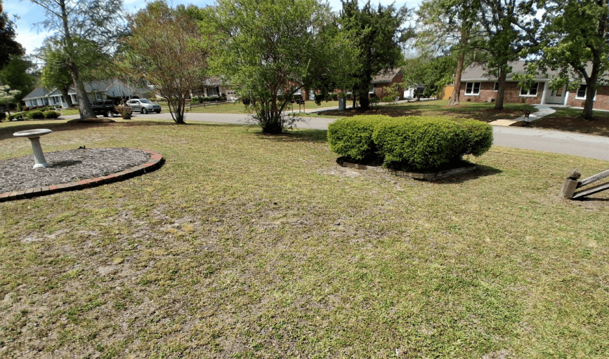 Lawn Care